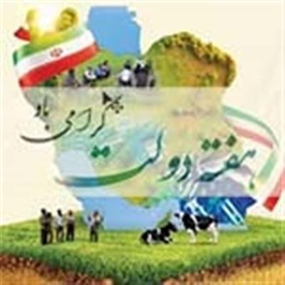 پیام دكتر رجبی ریاست مؤسسه تحقیقات اصلاح و تهیه بذر چغندرقند به مناسبت آغاز هفته دولت و بزرگداشت روز كارمند