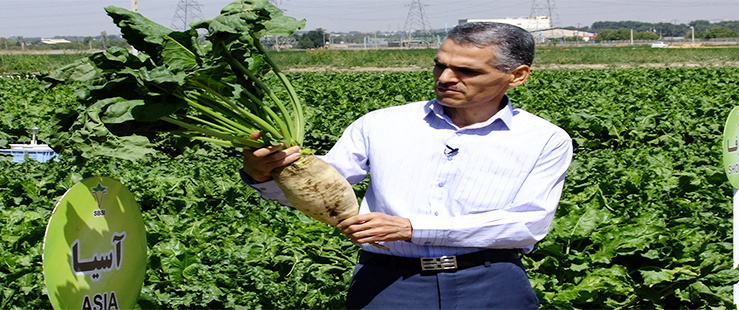 موسسه تحقیقات اصلاح و تهیه بذر چغندرقند