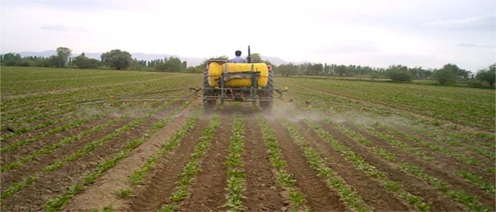 بخش تحقیقات به زراعی