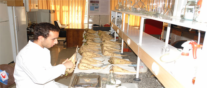 بخش تحقیقات گیاه پزشکی