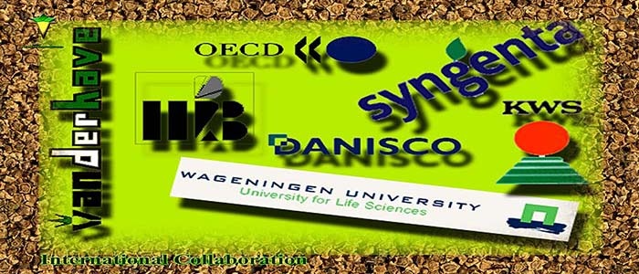 واحد روابط بین الملل