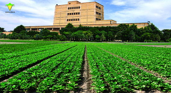 گالری فیلم ایستگاه سیدعبدالرسول مطهری