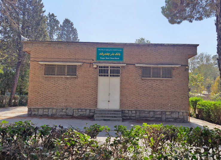 بانک بذر بخش تحقیقات به نژادی