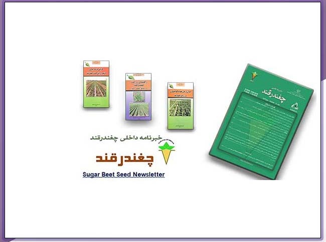 فعالیت های انتشاراتی موسسه