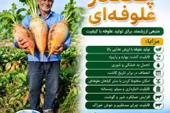 چغندر علوفه ایی