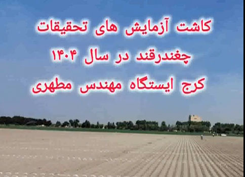 فیلم کاشت آزمایش های ستاد موسسه سال ۱۴۰۴