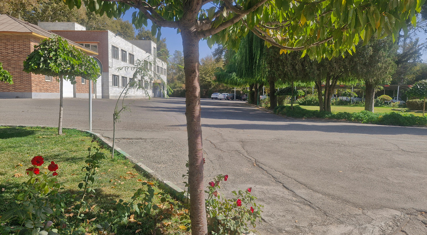 اداره امور مالی موسسه تحقیقات اصلاح و تهیه بذر چغندرقند