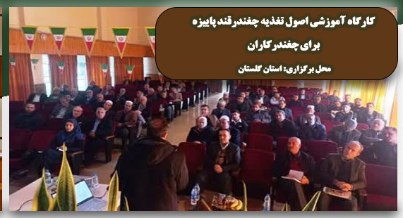 کارگاه آموزشی چغندرکاران در استان گلستان