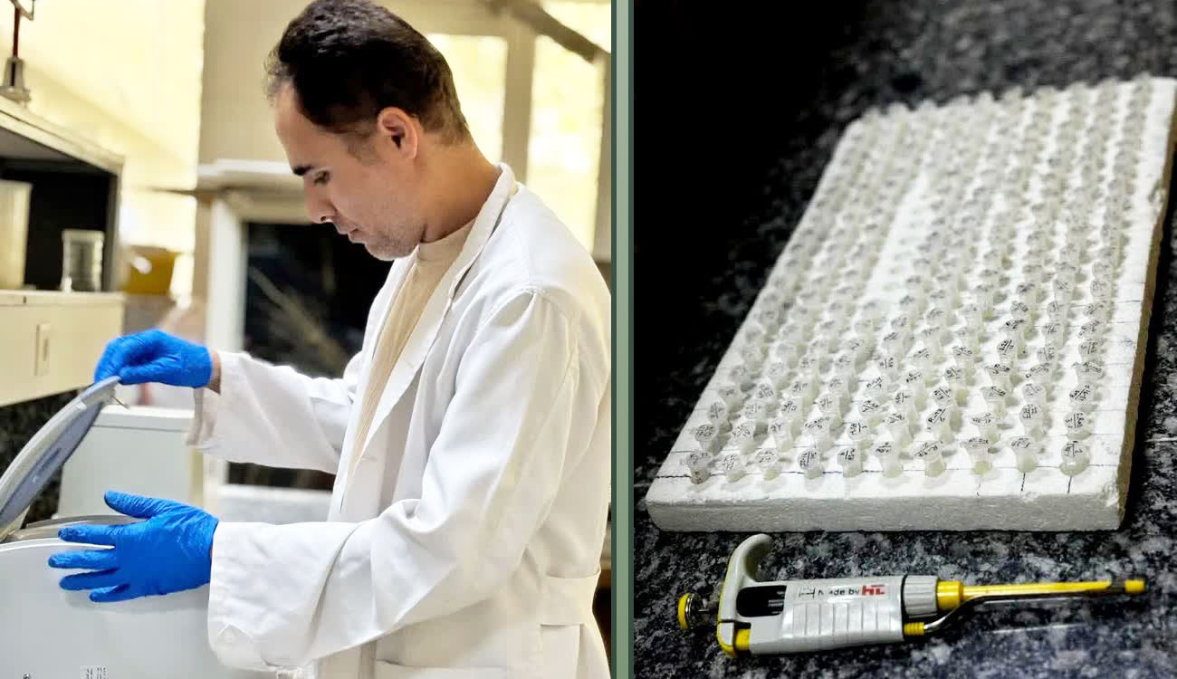 عکس روز، ۱۳ آبان ۱۴۰۴