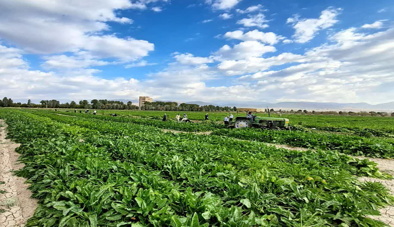 عکس روز ، ۱۰ آبان ۱۴۰۴