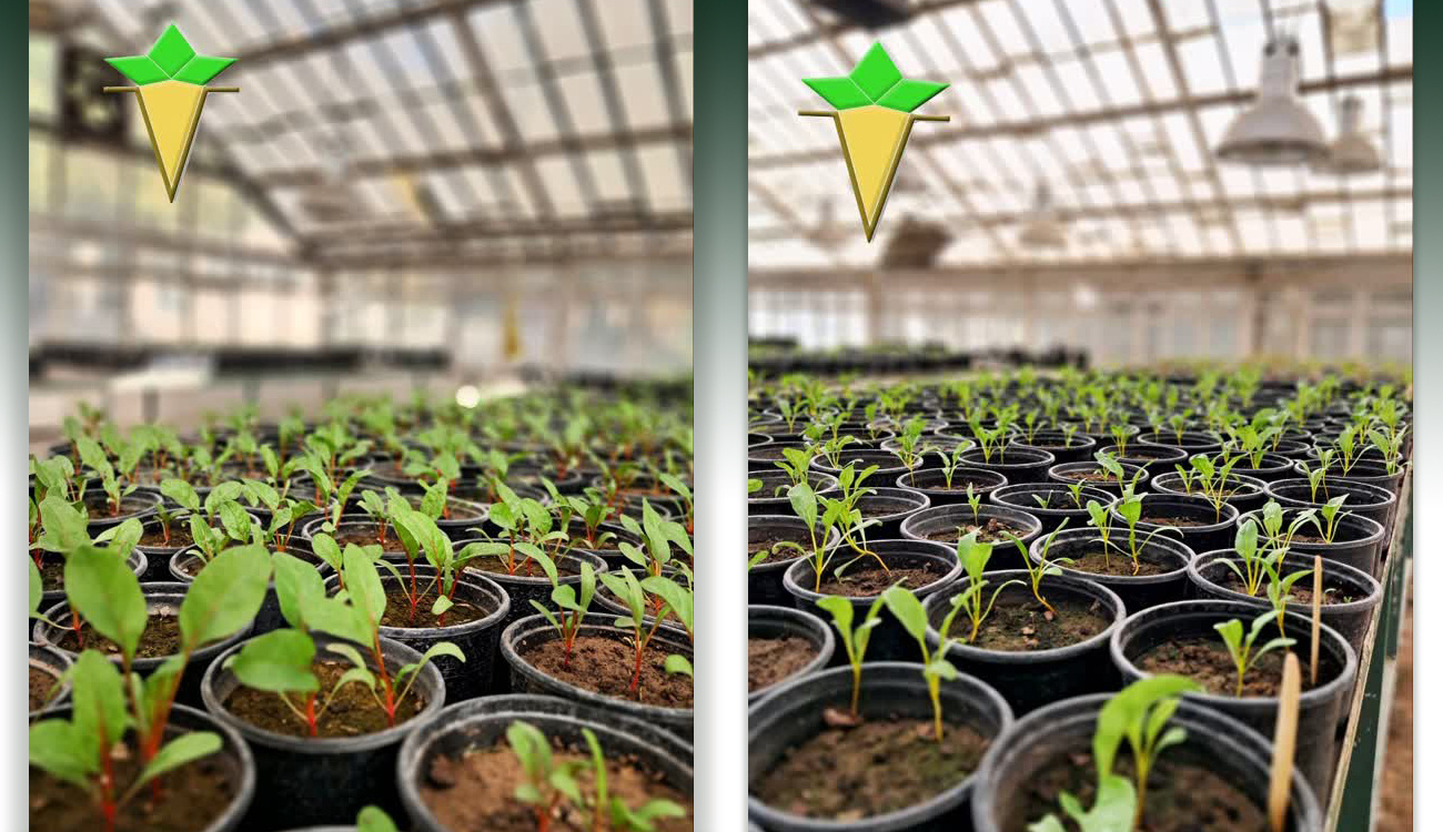 عکس روز، ۲۲ آبان