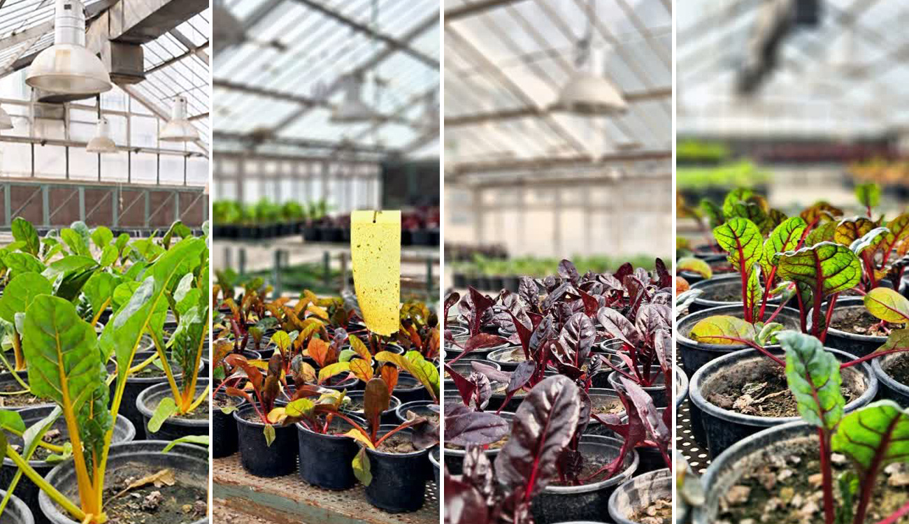 عکس روز ۲۱ دی ماه ۱۴۰۴