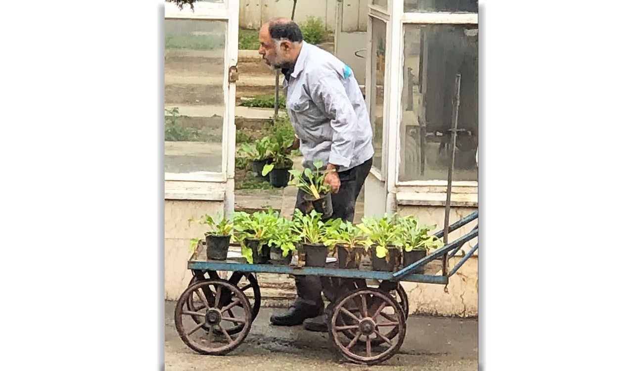 عکس روز ، ۲۵  اسفند ۱۴۰۴
