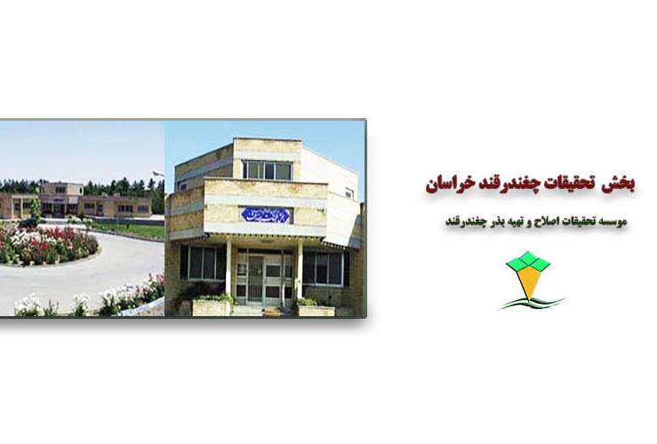 مرکز خراسان رضوی