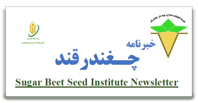 خبرنامه چغندرقند