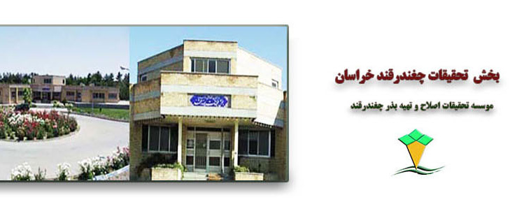 مرکز خراسان رضوی