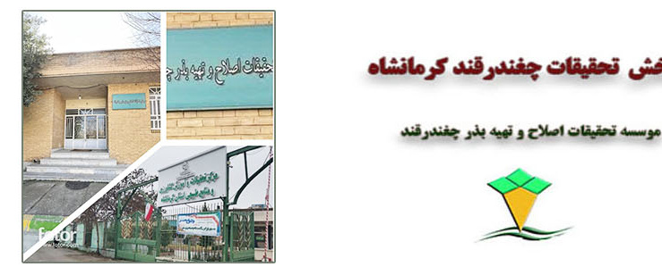 گالری تصاویر مرکز کرمانشاه