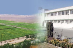 موسسه تحقیقات اصلاح و تهیه بذر چغندرقند