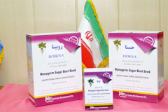 ارقام موسسه تحقیقات اصلاح و تهیه بذر چغندرقند