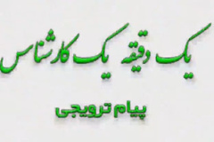 اهمیت تاریخ کاشت مناسب در زراعت چغندرقند