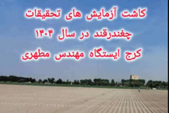 فیلم کاشت آزمایش های ستاد موسسه سال ۱۴۰۴