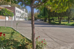 اداره امور مالی موسسه تحقیقات اصلاح و تهیه بذر چغندرقند