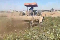 برداشت آزمایشات کرمانشاه (آبان 1404)