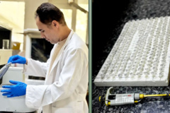 عکس روز، ۱۳ آبان ۱۴۰۴