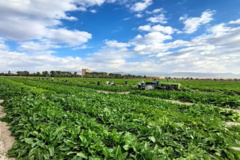 عکس روز ، ۱۰ آبان ۱۴۰۴