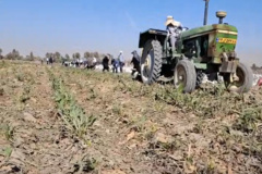 عملیات برداشت آزمایش های ستاد موسسه در ایستگاه مهندس مطهری ، 6 ابان 1404