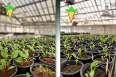 عکس روز، ۲۲ آبان