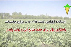 استفاده از آرایش کاشت ۲۵×۵۰ چغندرقند