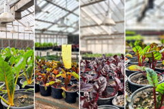 عکس روز ۲۱ دی ماه ۱۴۰۴