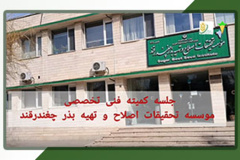 تشکیل جلسه کمیته فنی تخصصی مؤسسه ، بهمن 1404