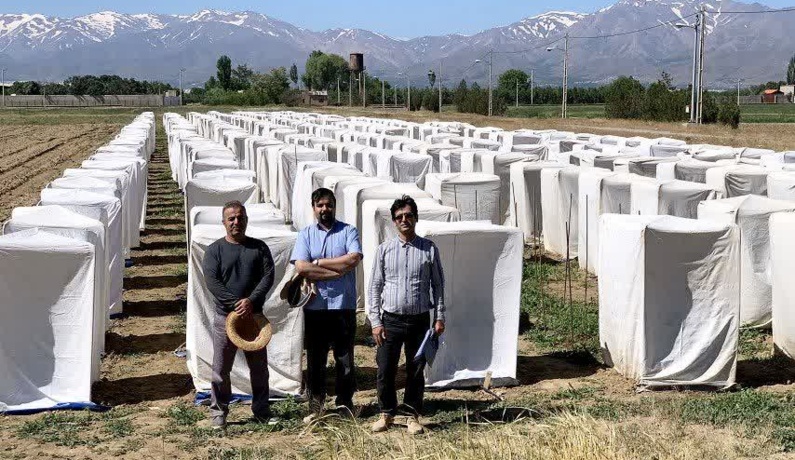 عکس