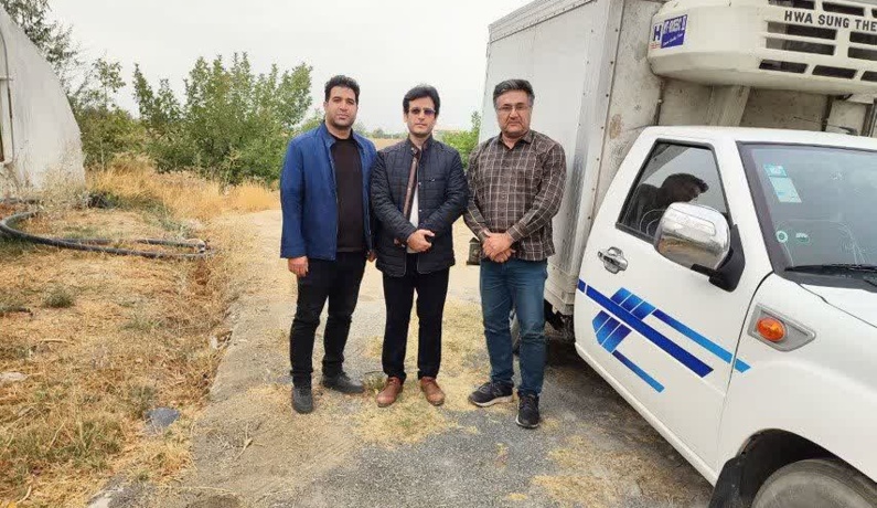 عکس