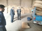 بازدید جناب آقای دکتر غلامرضا صالحی جوزانی از روند خرید و فرآوری بذر