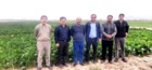 از مزارع و آزمایشات کشت پاییزه چغندرقند استان گلستان بازدید شد