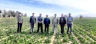 از مزارع و آزمایشات کشت پاییزه چغندرقند استان گلستان بازدید شد