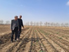بازدید ریاست و معاونت پژوهشی موسسه از ایستگاه تحقیقات چغندرقند مهندس مطهری کمالشهر