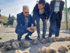 بازدید از عملیات عیارسنجی تک ریشه های اصلاحی بخش تحقیقات به نژادی موسسه