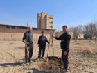 کاشت نهال گردو پیوندی رقم چندلر در باغ گردوی ایستگاه تحقیقات چغندرقند مهندس مطهری