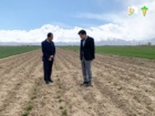 از پروژه های تولید بذر هیبرید و قطعات اصلاحی تولید بذر چغندرقند همدان بازدید شد