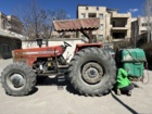 بازدید از مزارع و قطعات اصلاحی تولید بذر چغندرقند فیروزکوه