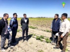 معاون پژوهشی و رییس بخش تحقیقات به نژادی موسسه از ایستگاه مهندس مطهری بازدید کردند