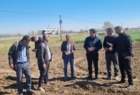 کاشت آزمایش مقایسه ارقام مختلف ایرانی و خارجی چغندرقند