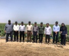 بازدید از شرکت توسعه نیشکر دعبل خزائی خوزستان