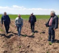 بازدید رییس موسسه تحقیقات ثبت و گواهی بذر و نهال از مزارع تولید بذر هیبرید تجارتی چغندرقند اردبیل