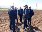بازدید رییس موسسه تحقیقات ثبت و گواهی بذر و نهال از مزارع تولید بذر هیبرید تجارتی چغندرقند اردبیل