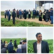 برگزاری روز انتقال یافته‌های تحقیقاتی چغندرقند در گلستان